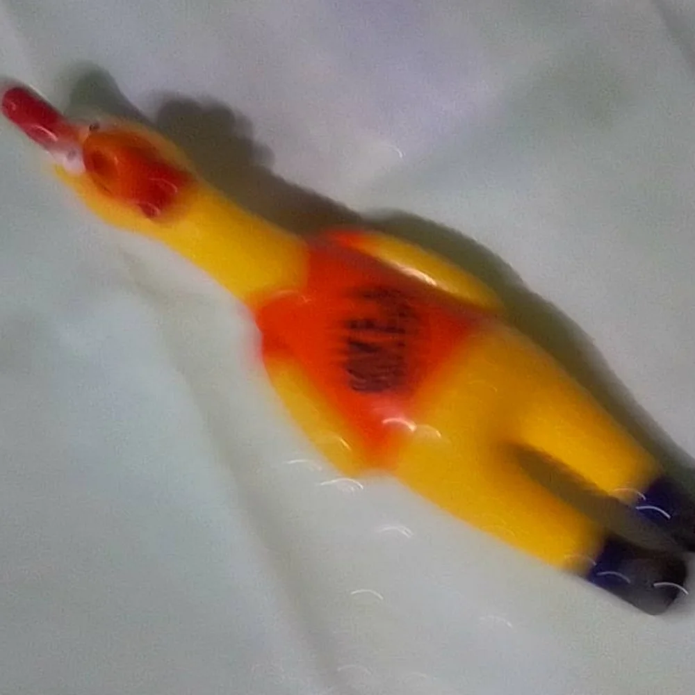 Chew Toy Dave and Busters Rooster 🐓 Chicken rubber squeak toy New Without Tags